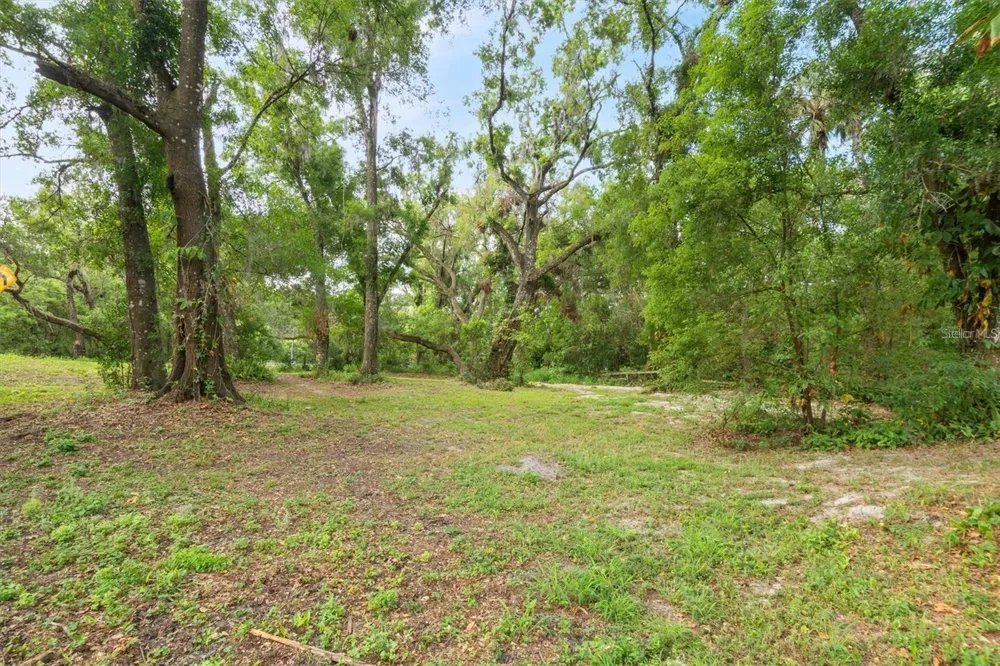 6005 IKE SMITH ROAD Plant City, FL 33565