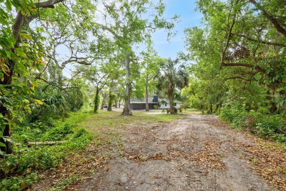 6005 IKE SMITH ROAD Plant City, FL 33565