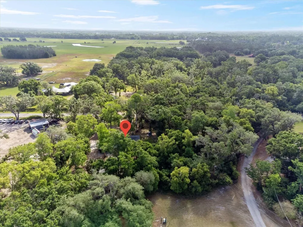 6005 IKE SMITH ROAD Plant City, FL 33565