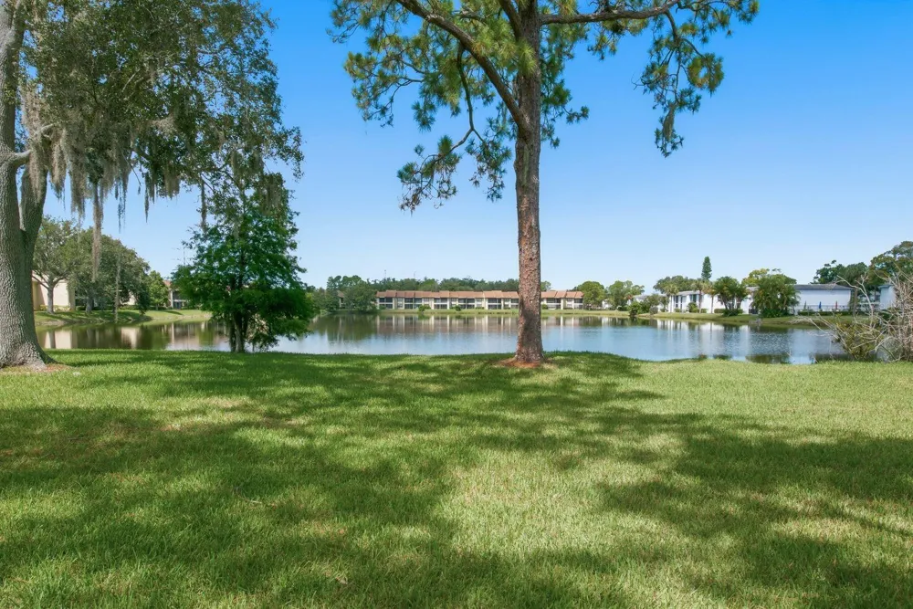 10 WOODLAKE PLACE Oldsmar, FL 34677