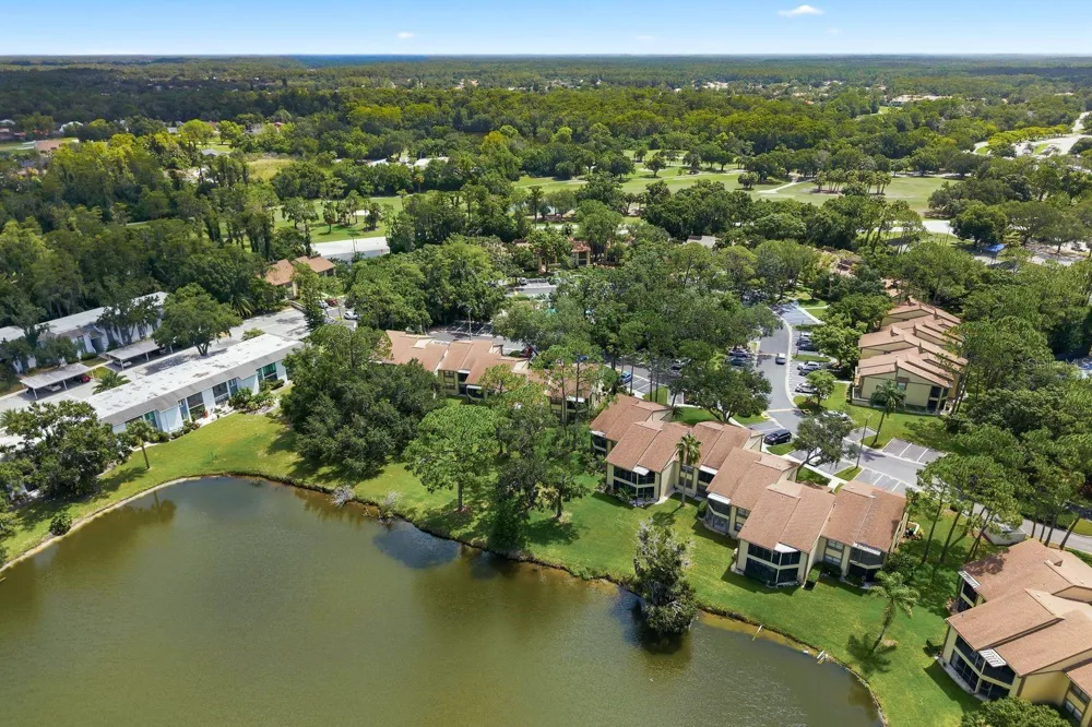 10 WOODLAKE PLACE Oldsmar, FL 34677
