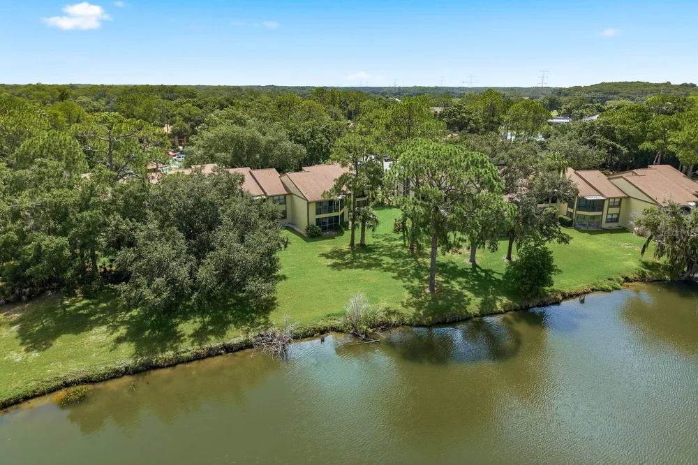 10 WOODLAKE PLACE Oldsmar, FL 34677