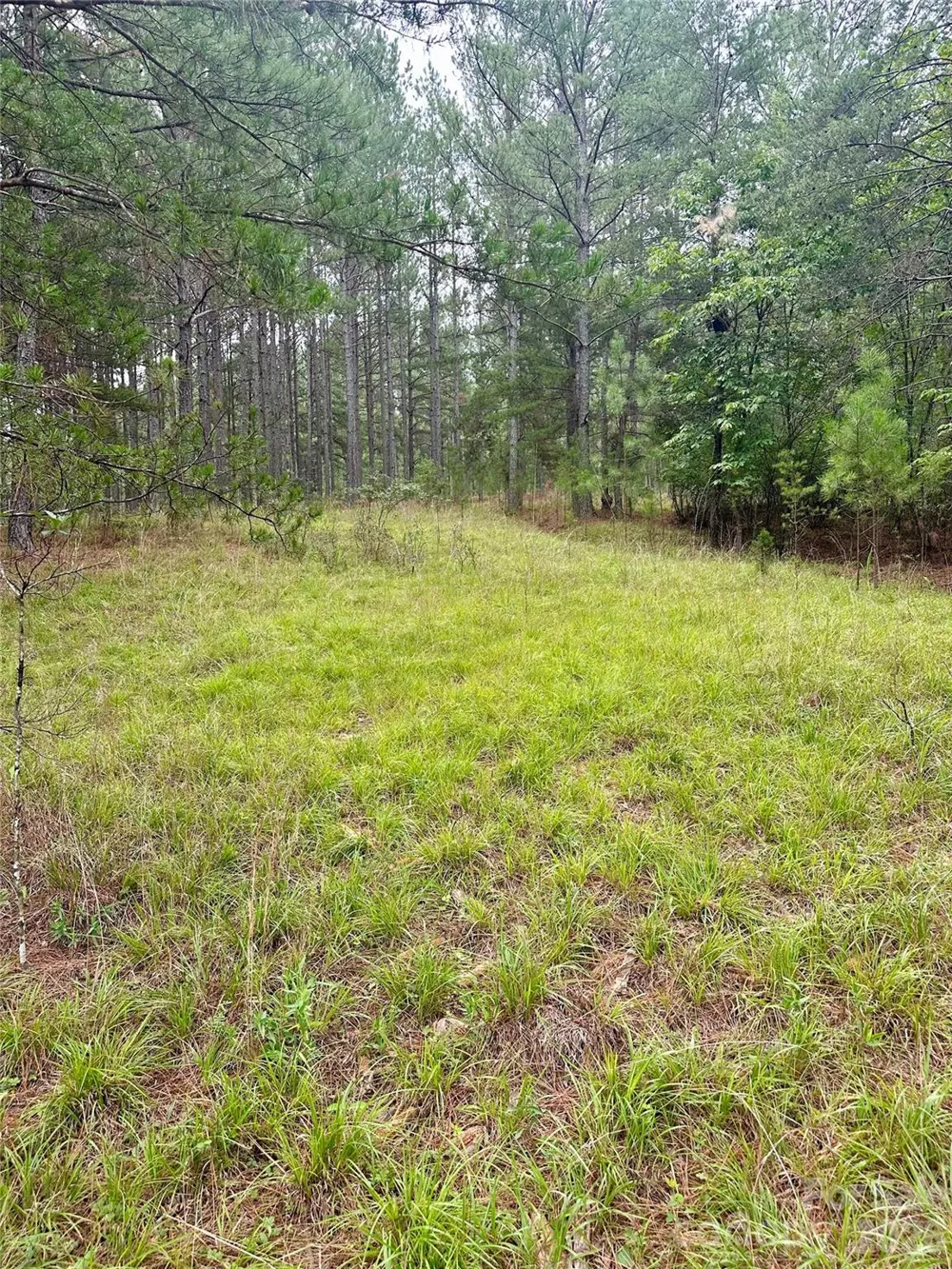 116 Cranberry Lane Mooresboro, NC 28114