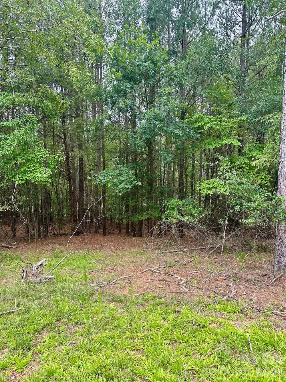 116 Cranberry Lane Mooresboro, NC 28114