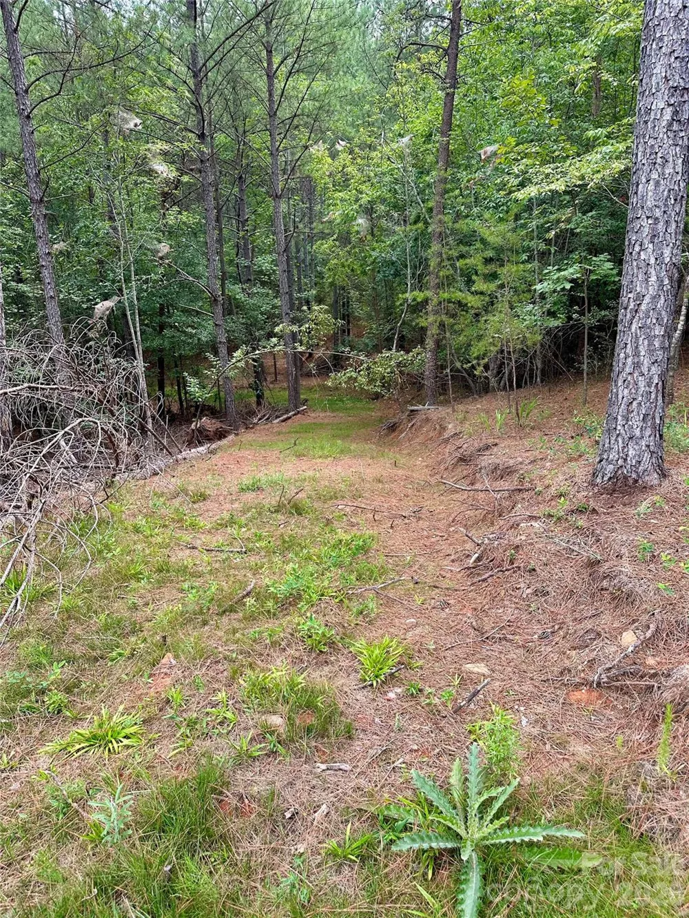 116 Cranberry Lane Mooresboro, NC 28114