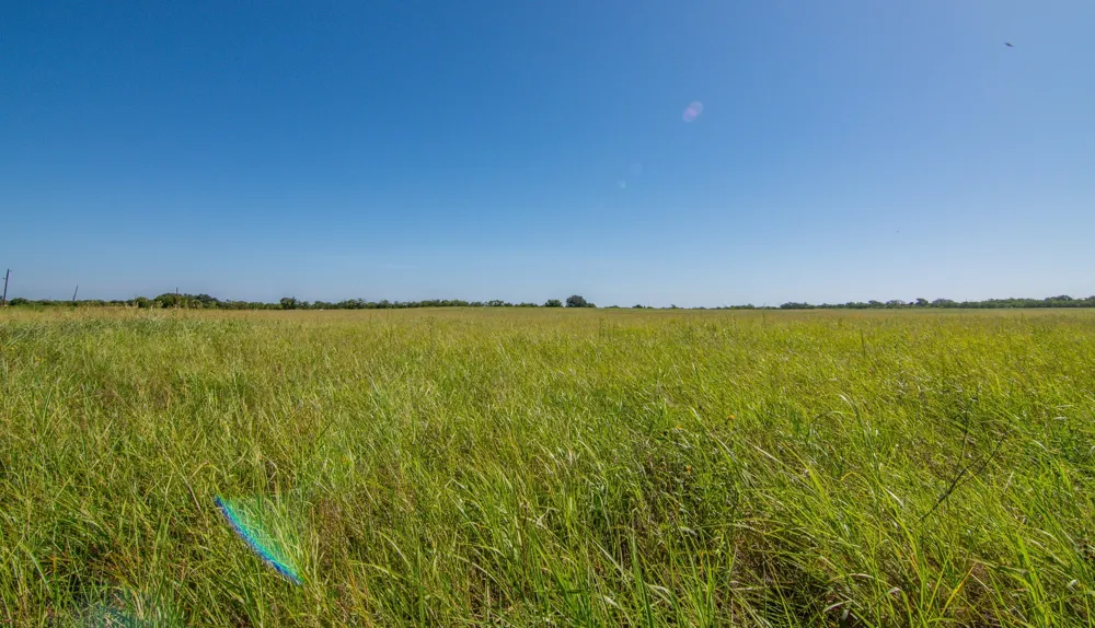 6187 FM 586b S Bangs, TX 76823