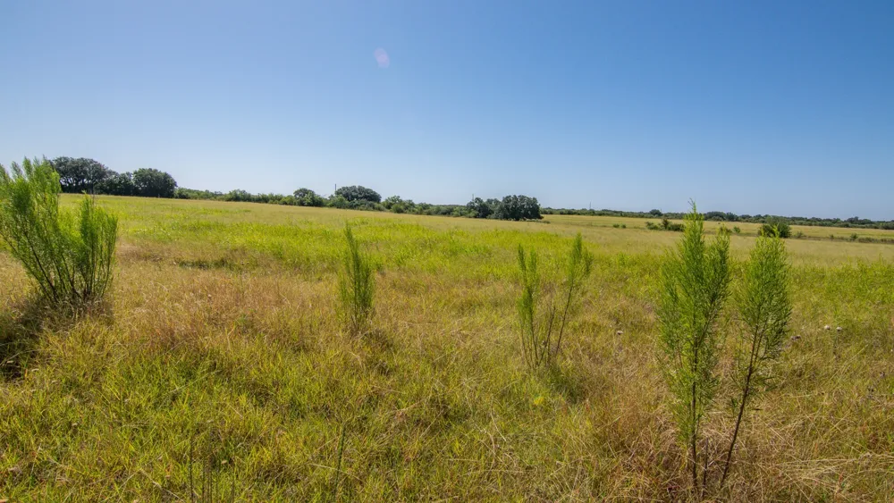 6187 FM 586b S Bangs, TX 76823