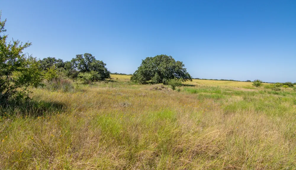 6187 FM 586b S Bangs, TX 76823