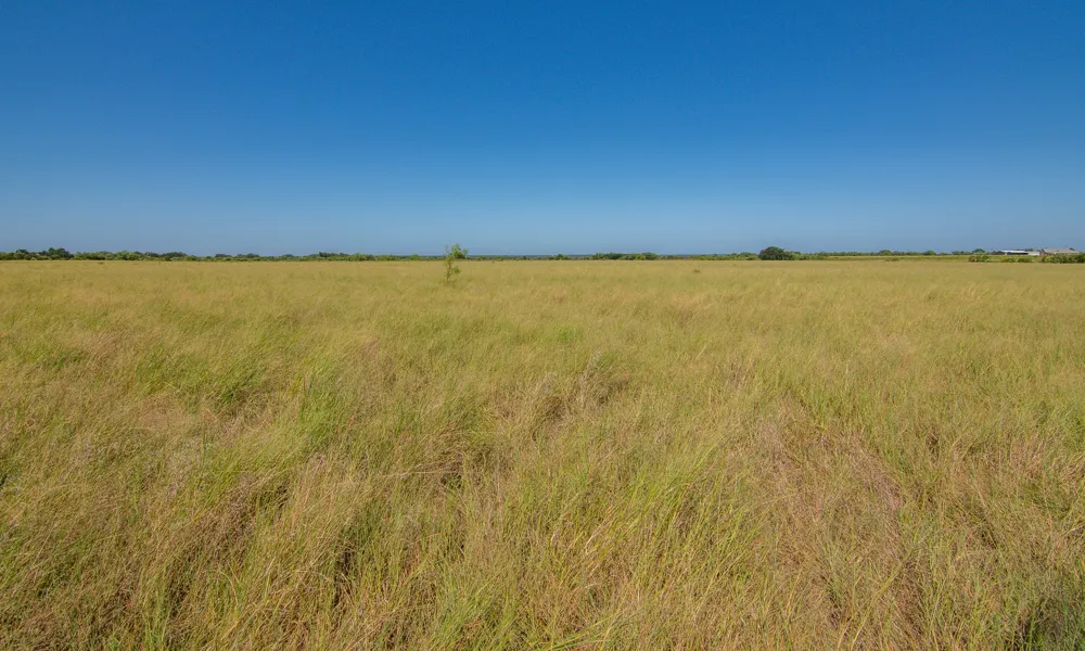 6187 FM 586b S Bangs, TX 76823