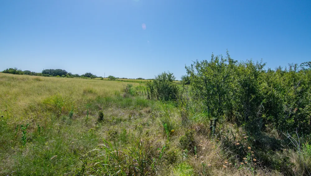 6187 FM 586b S Bangs, TX 76823