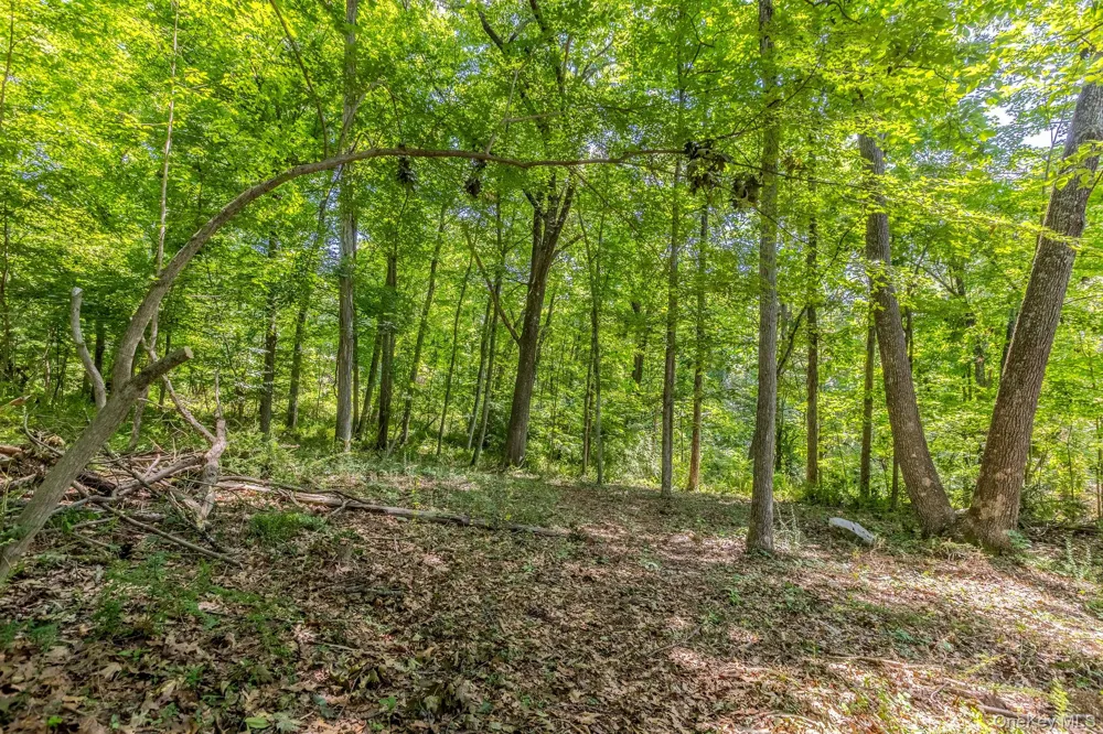 Woodin Lane Pawling, NY 12564