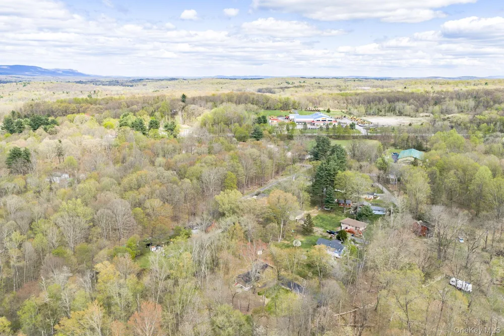 24 Farmingdale Lane Bloomingburg, NY 12721