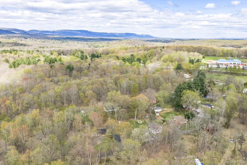 24 Farmingdale Lane Bloomingburg, NY 12721