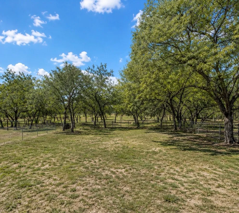 120 Swinney Switch Drive Dinero, TX 78368