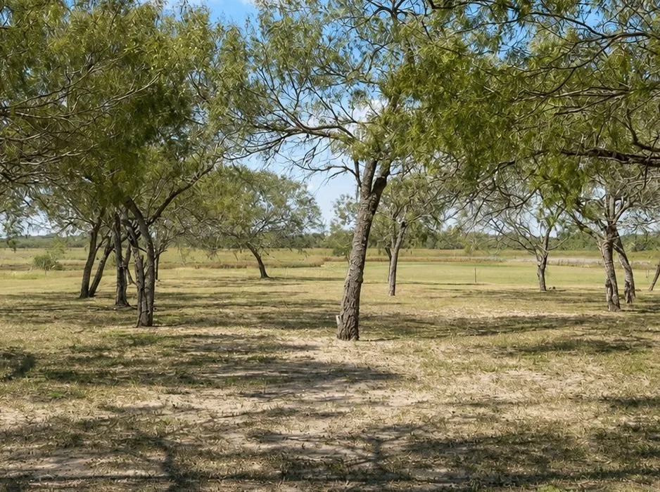 120 Swinney Switch Drive Dinero, TX 78368