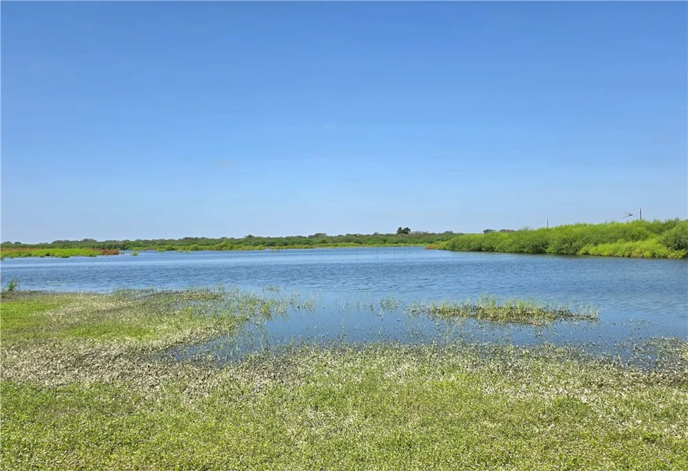 120 Swinney Switch Drive Dinero, TX 78368