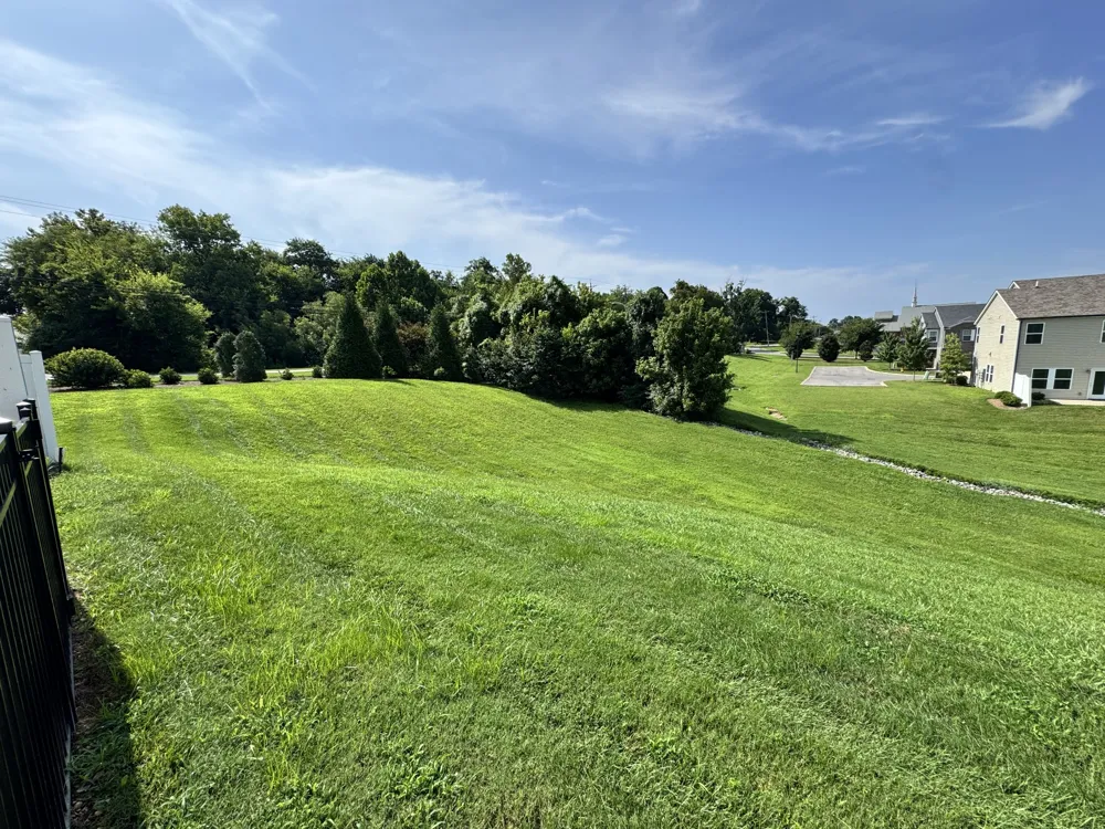 523 Stovall Ln Columbia, TN 38401