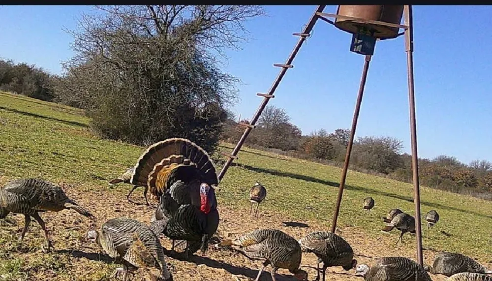 636 PRIVATE ROAD 4691 Baird, TX 79504