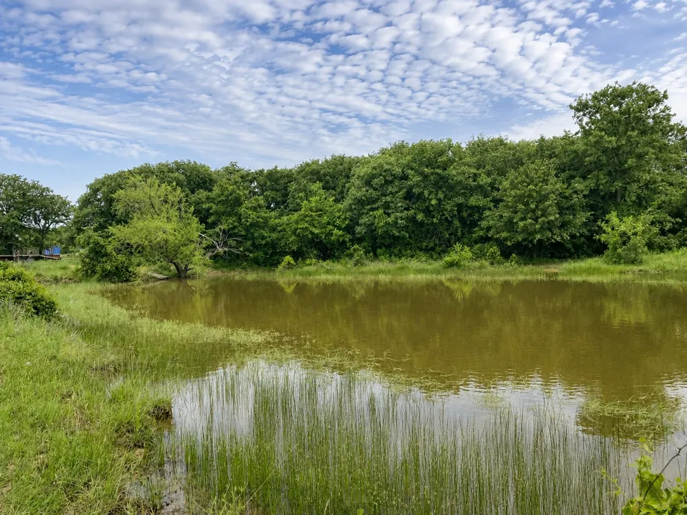 636 PRIVATE ROAD 4691 Baird, TX 79504