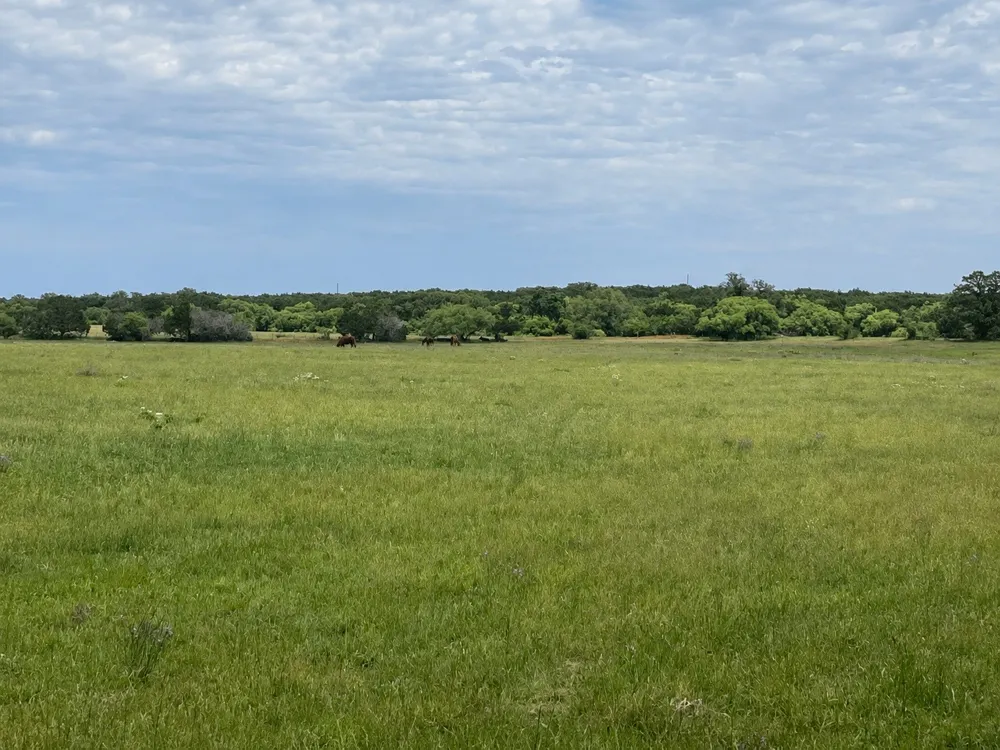 636 PRIVATE ROAD 4691 Baird, TX 79504