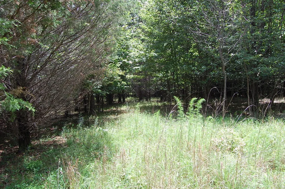 36 Stone Creek Trail Dunlap, TN 37327