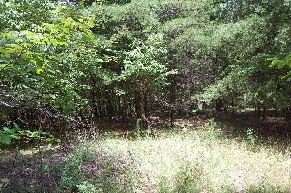 36 Stone Creek Trail Dunlap, TN 37327