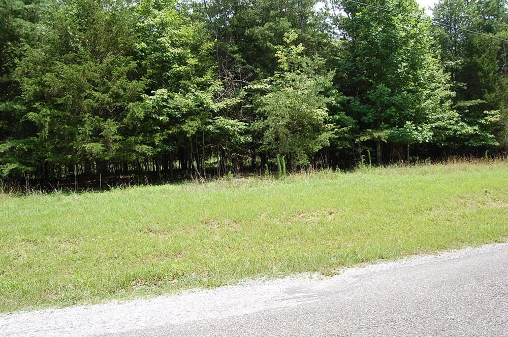 36 Stone Creek Trail Dunlap, TN 37327