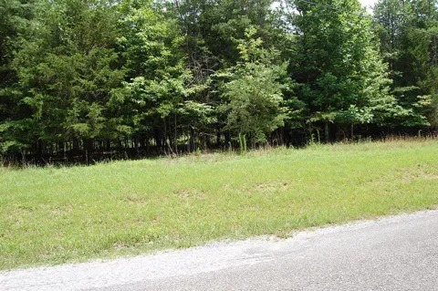 36 Stone Creek Trail