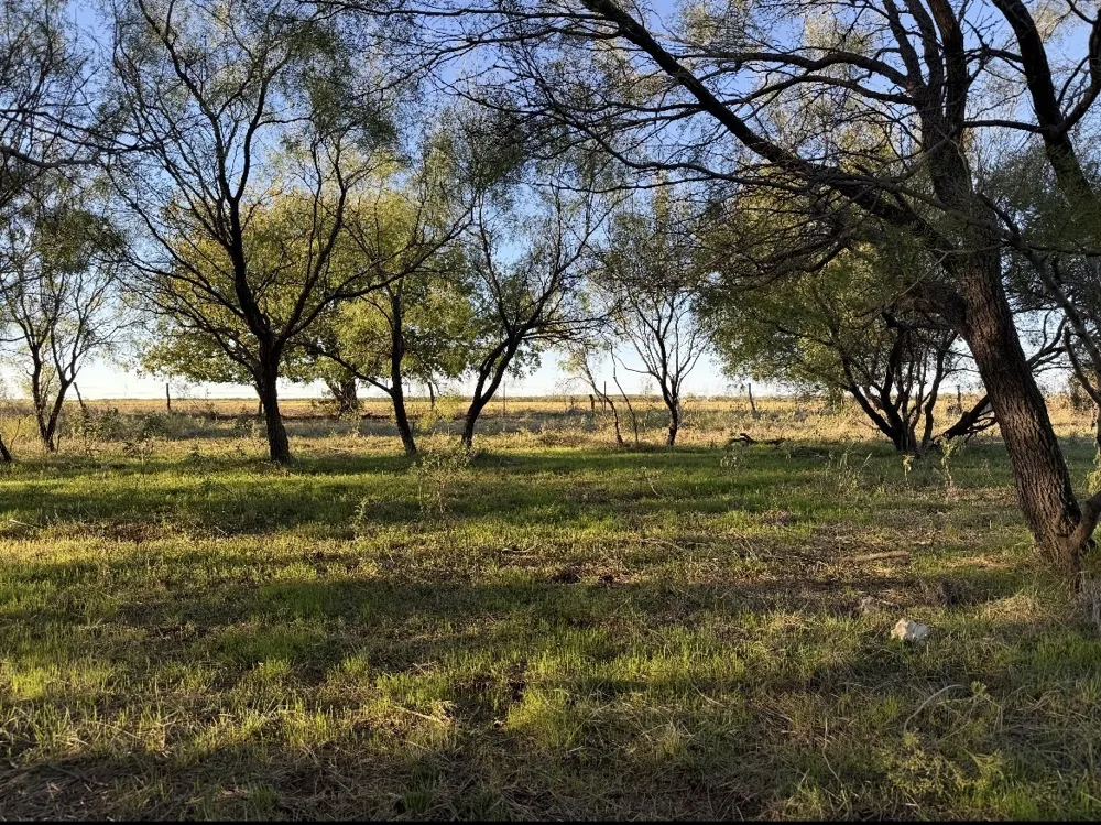 2241 Schlegel Road Olney, TX 76374