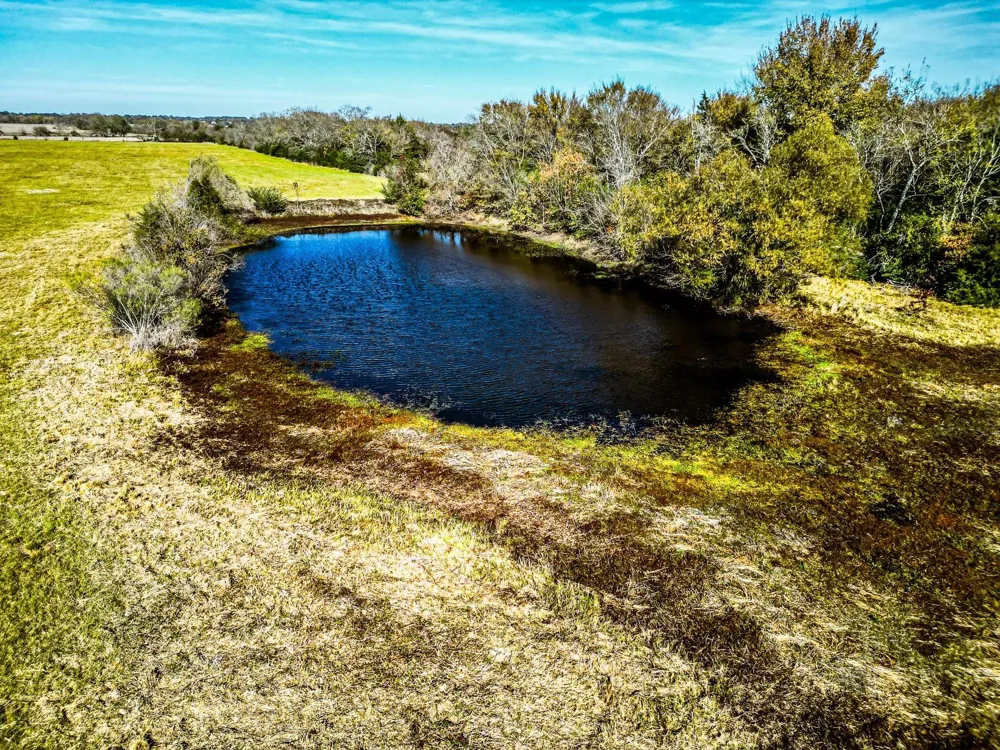 Fm 978 Normangee, TX 77871