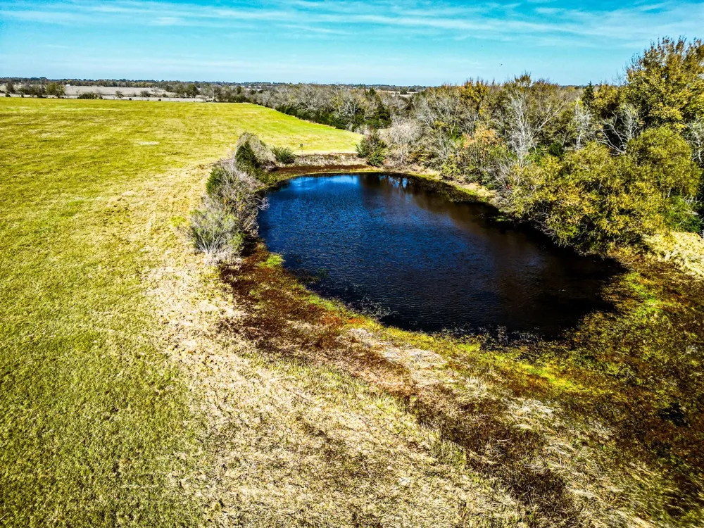 Fm 978 Normangee, TX 77871