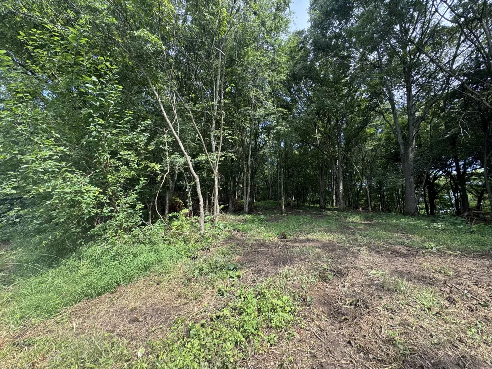 0 Barrett Rd Watertown, TN 37184