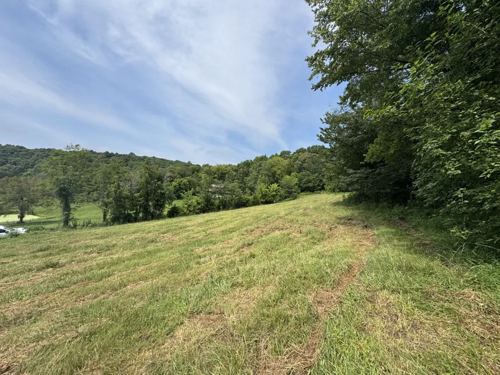 0 Barrett Rd Watertown, TN 37184