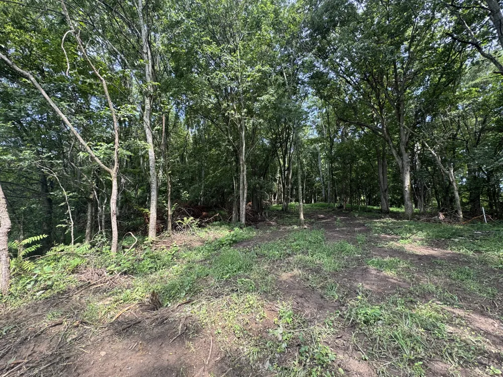 0 Barrett Rd Watertown, TN 37184