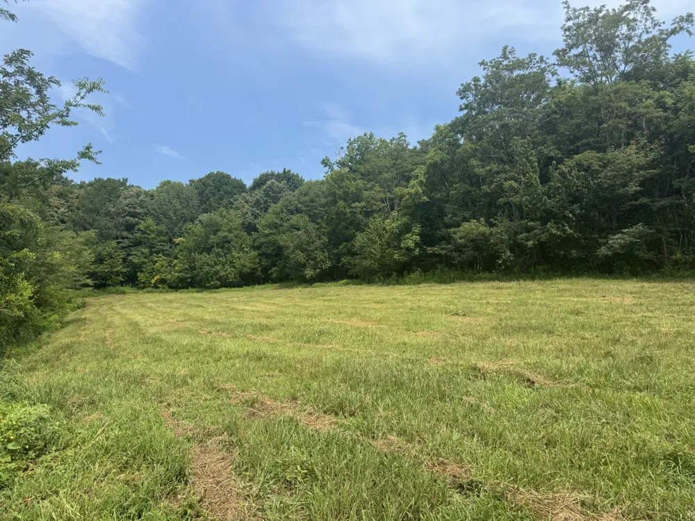 0 Barrett Rd Watertown, TN 37184