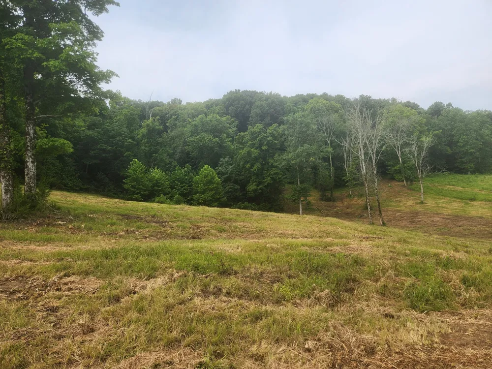 0 Barrett Rd Watertown, TN 37184
