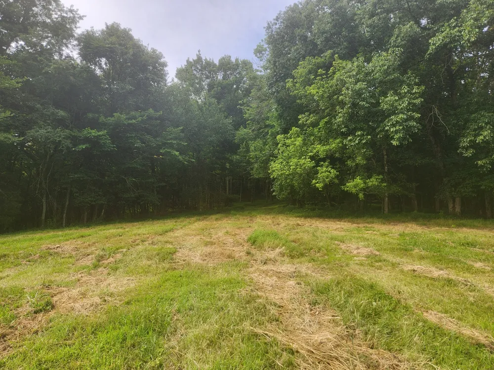 0 Barrett Rd Watertown, TN 37184