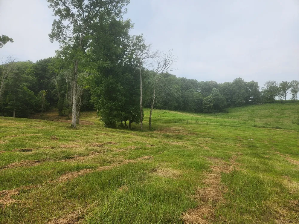 0 Barrett Rd Watertown, TN 37184