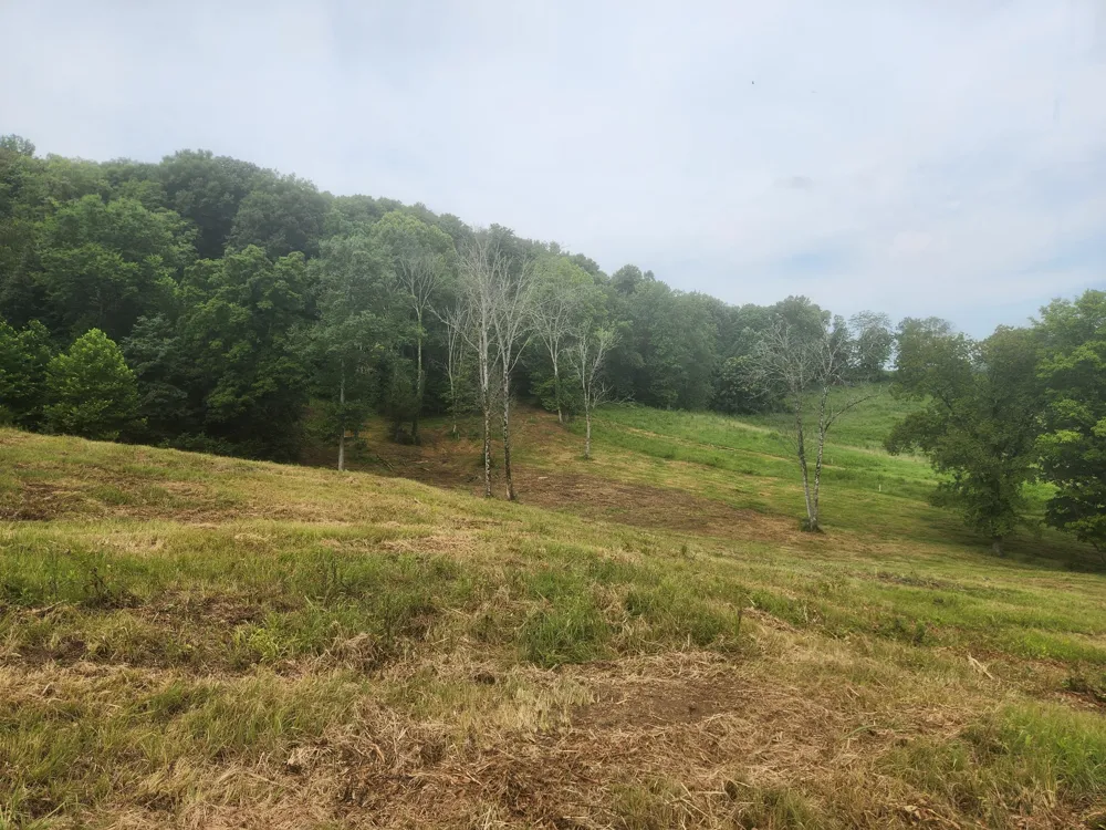 0 Barrett Rd Watertown, TN 37184