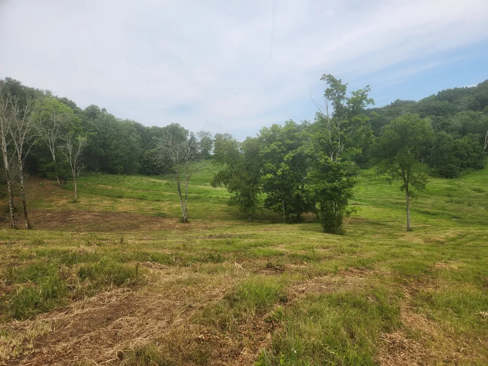 0 Barrett Rd Watertown, TN 37184