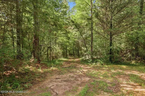 077 Potluck Road