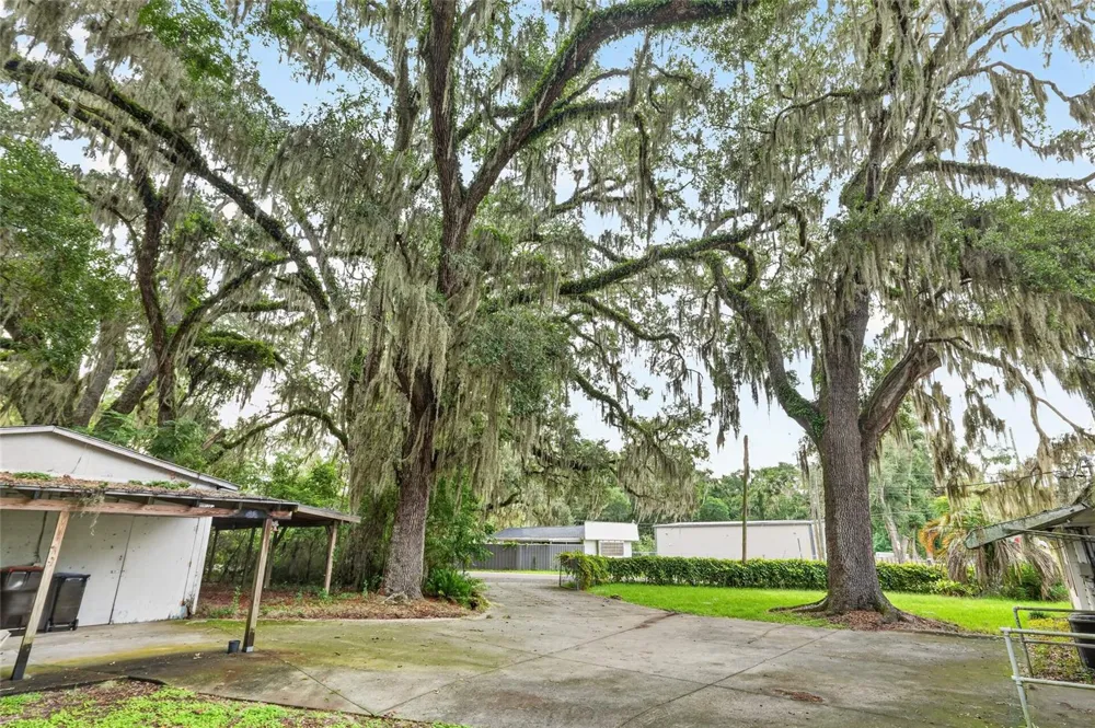 6141 SE BABB ROAD Belleview, FL 34420