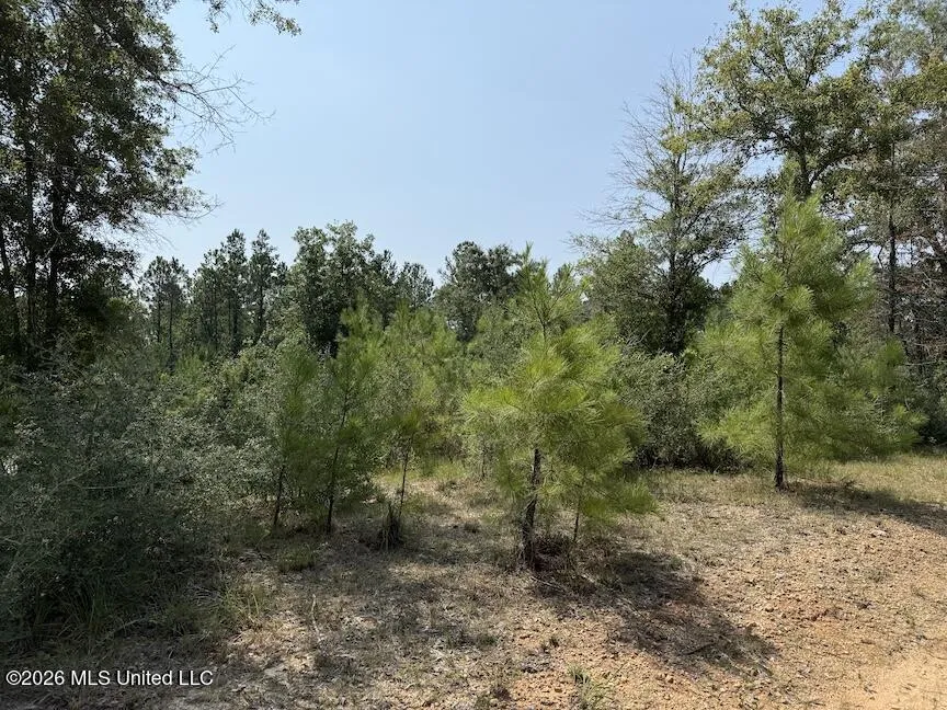 Roy Oneal Road Perkinston, MS 39573