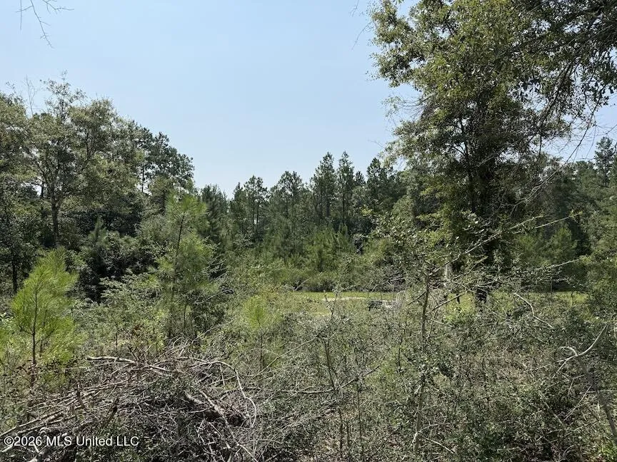 Roy Oneal Road Perkinston, MS 39573