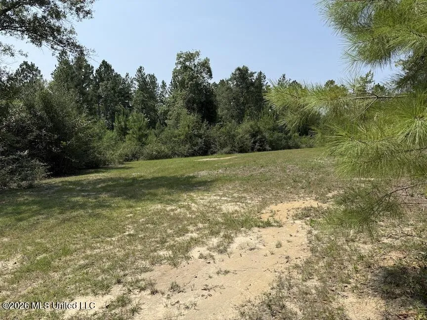 Roy Oneal Road Perkinston, MS 39573