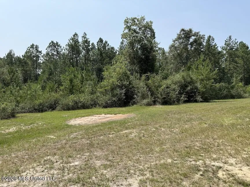Roy Oneal Road Perkinston, MS 39573