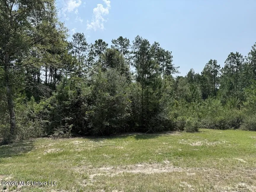 Roy Oneal Road Perkinston, MS 39573