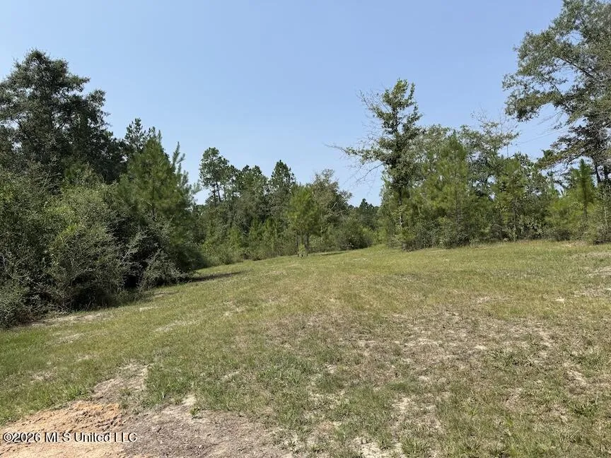 Roy Oneal Road Perkinston, MS 39573