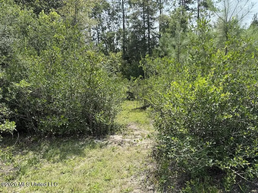 Roy Oneal Road Perkinston, MS 39573