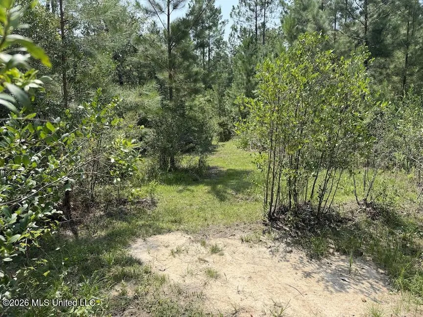 Roy Oneal Road Perkinston, MS 39573